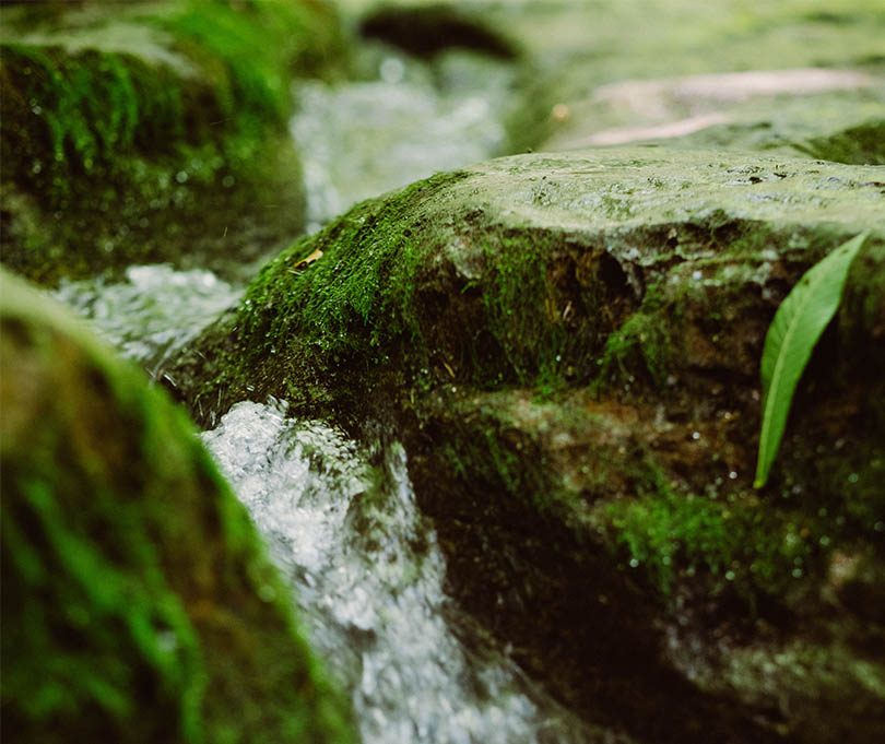Ziele und Arbeit des Verbandes Untere Saale / Roda